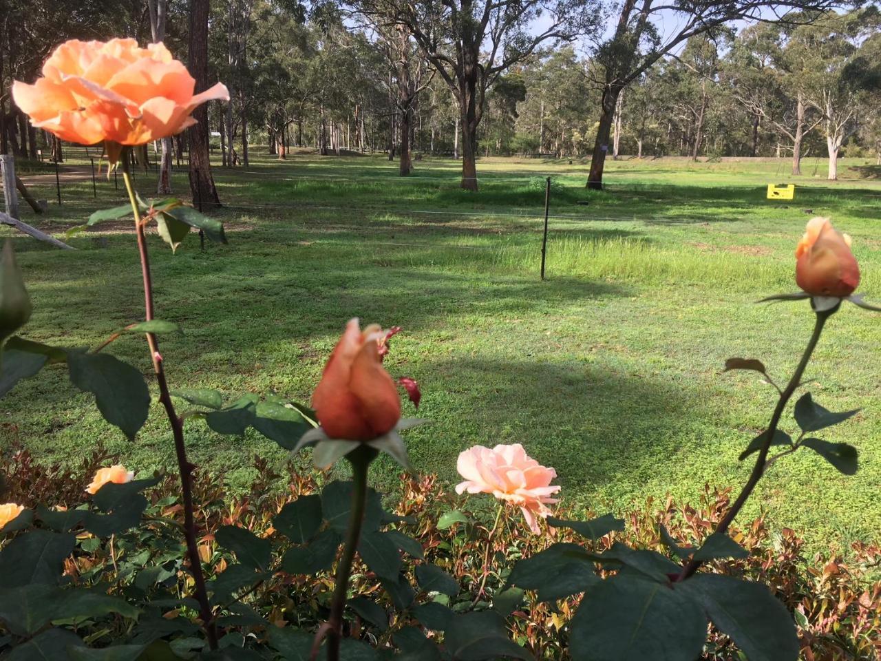 Hunter Valley Retreat Quorrobolong Exterior foto