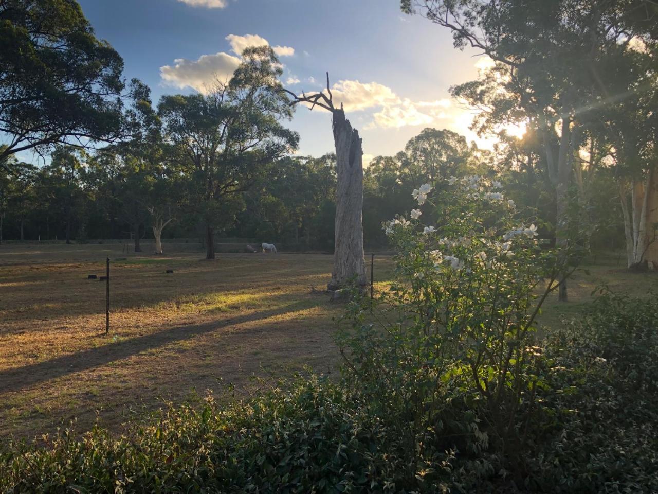 Hunter Valley Retreat Quorrobolong Exterior foto
